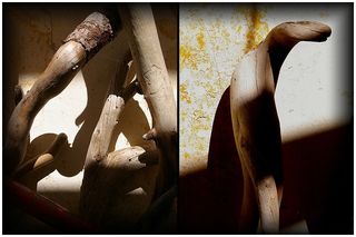 Béni soit le serpent B-NI SOIT LE SERPENT