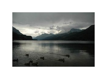 Sils Maria, Engadine : Les sommets couleur anthracite, à mesure qu’ils s’éclaircissent, s’abaissent et s’éloignent sans que soient diminués leur netteté, le tranchant de leur découpure <br />
sur la dureté du ciel. Sils Maria Suisse