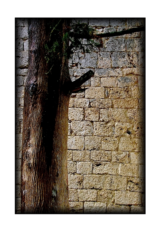 Il y a des questions dans l-opacit- des murs