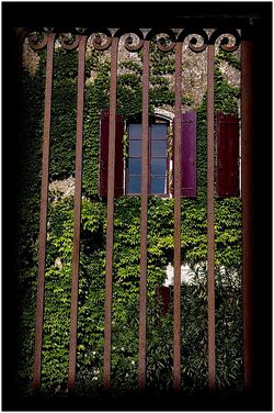 Tourment pour la fin de tes pas | Devant une grille Devant une grille