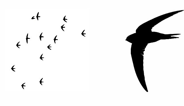 Autant de tintements que de solitudes