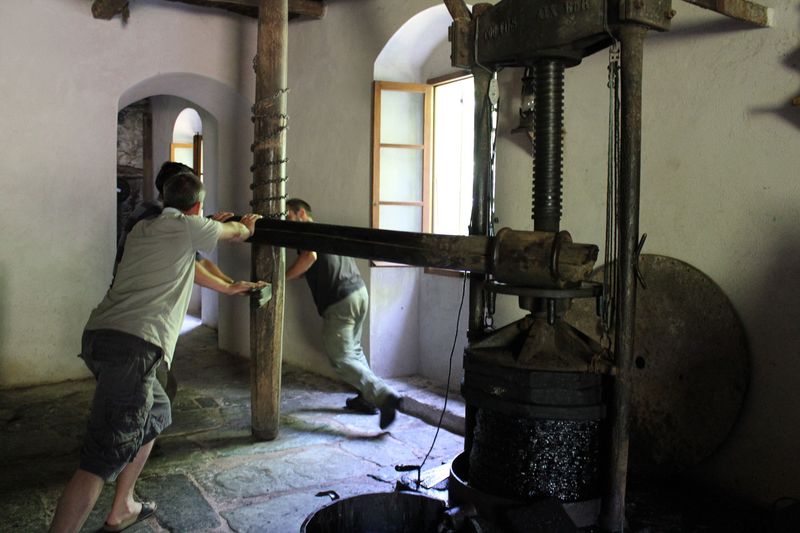 Moulin d'Ogliastro Juin 2011 015