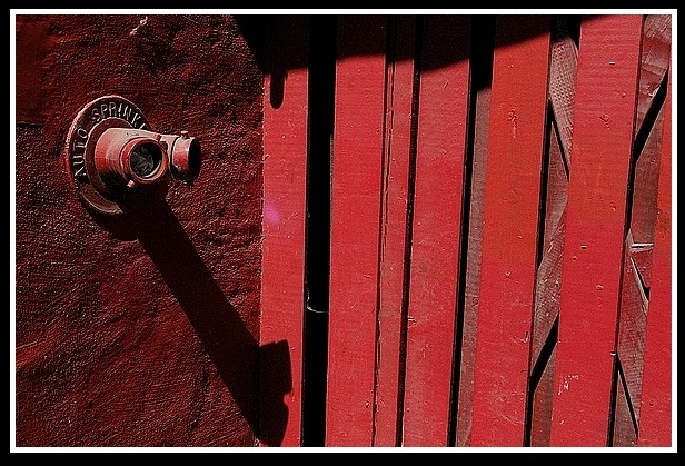 Le mot corail pour observer par en dedans l-ombre des veines (1)