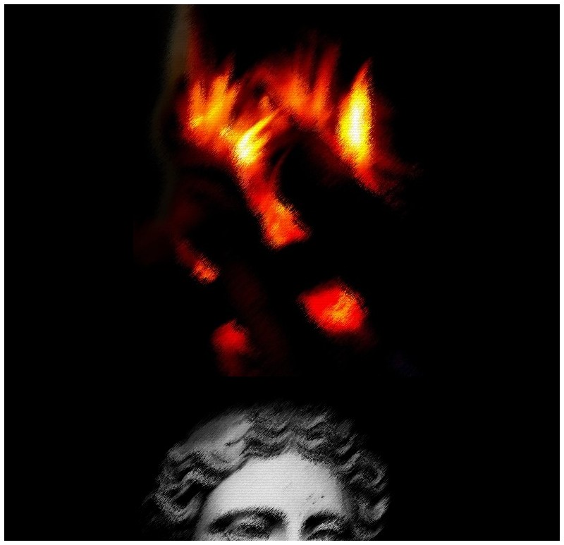 Une fleur de la m-moire