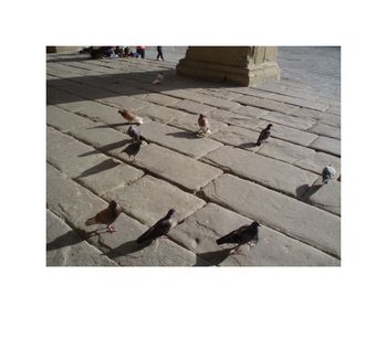 Le temps existe à mi-chemin Guillevic le temps existe à mi chemin