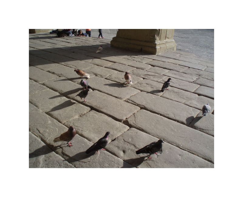 Guillevic le temps existe à mi chemin