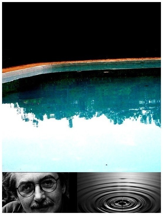 Renverser le paysage