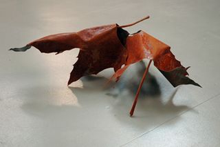 Jeanne de Petriconi, fusion de deux feuilles