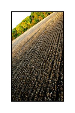 En automne quand la terre s-ouvre - la p-nombre