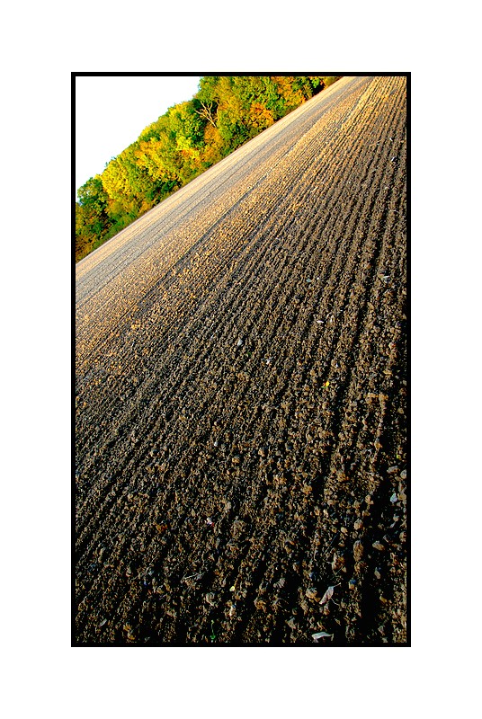 En automne quand la terre s-ouvre - la p-nombre