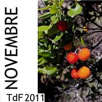 TdF ― novembre 2011 TDF NOV 2011