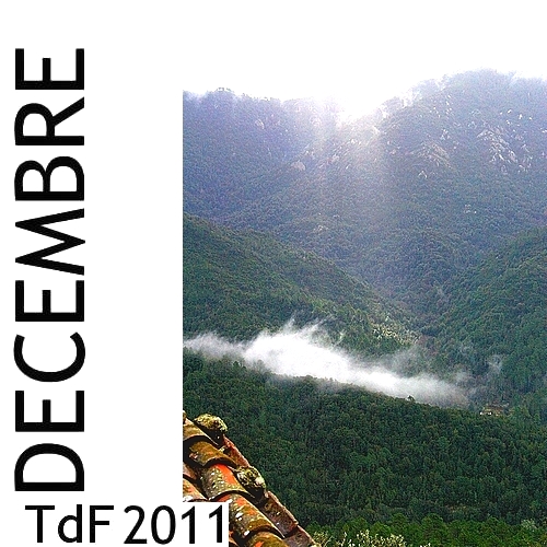LOGO TDF DEC  2011