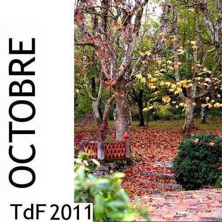 CLIQUER SUR LA PHOTO pour accéder au SOMMAIRE du numéro d'octobre 2011 de TdF asset asset-image at-xid-6a00d8345167db69e20162ff1197be970d