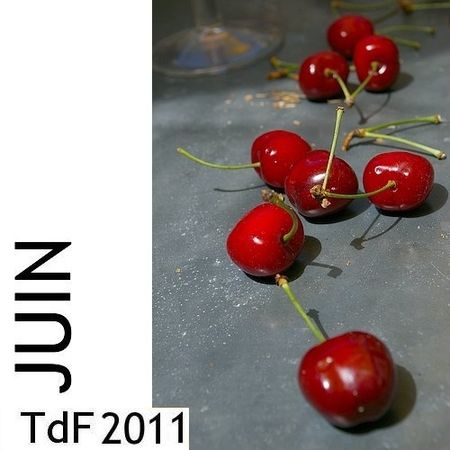 CLIQUER SUR LA PHOTO pour accéder au SOMMAIRE du numéro de juin 2011 asset asset-image at-xid-6a00d8345167db69e20162ff2c9fde970d