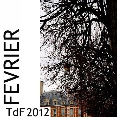 TDF FEVIER 2012 PLACE DES VOGES (1)
