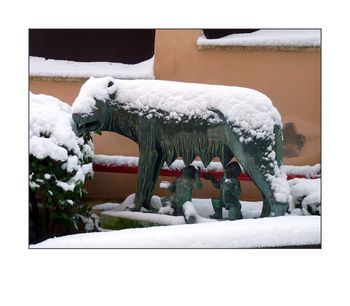 Roma neve
