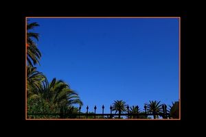 Je suis un corps debout qui tient le paysage...