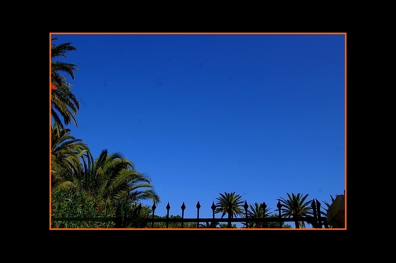 Je suis un corps debout qui tient le paysage...