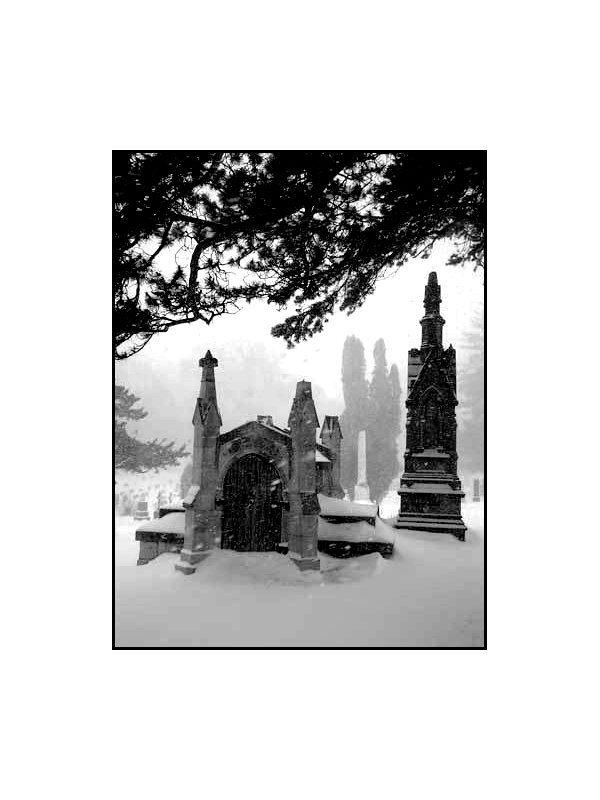 Woodlawn Cemetery in 2008 February