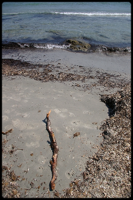 Je cherche mes pas sur la grève