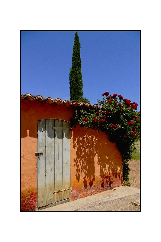 Ma vacuité ressemble aux ombres  du mouvement des fleurs sur le mur