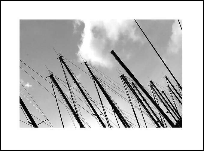 Je compte les mâts penchés près du rivage.