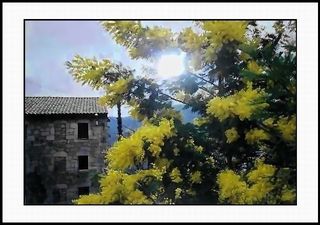 Sol. Y las floras nuevas la escuchan Sol