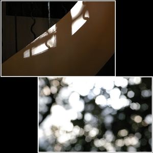 Dans une confusion d’esprit | vers l’automne | dans l’ombre hors de l’enclos Dans une confusion d’esprit vers l’automne dans l’ombre hors de l’enclos