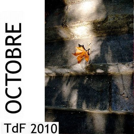 CLIQUER SUR LA PHOTO pour accéder au SOMMAIRE du numéro d'octobre 2010 asset asset-image at-xid-6a00d8345167db69e2016760bbca07970b