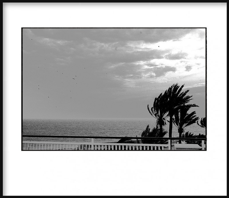 J-aimerais saisir les motifs que le vent dessine dans tes cheveux