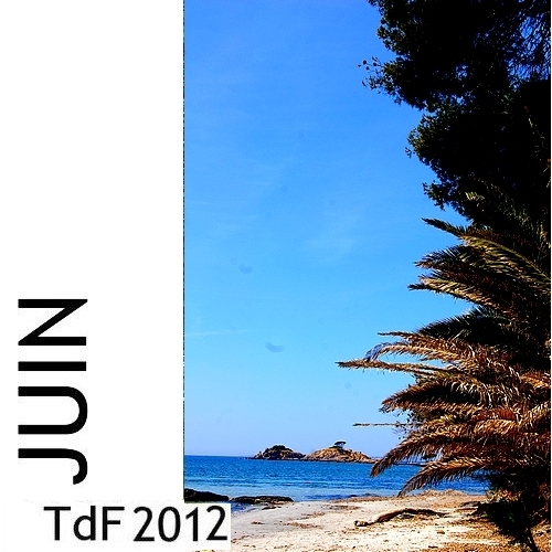 Logo  TDF juin  2012