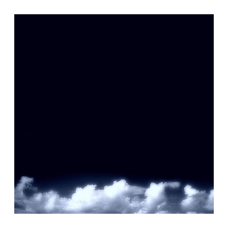 Le noir est devenu plus noir. Je retrouve la mousse et l’écorce. Et le ciel à l’envers