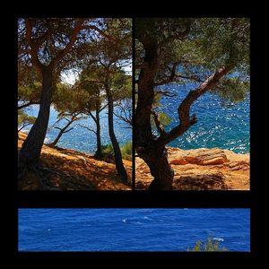 Je rentre dans Ithaque