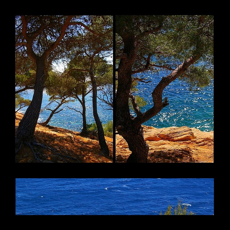 Je rentre dans Ithaque