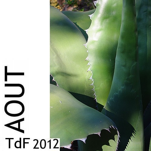 LOGO  AOUT 2012