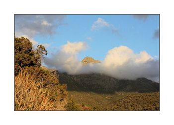 Janvier cette part de lumière et de beauté