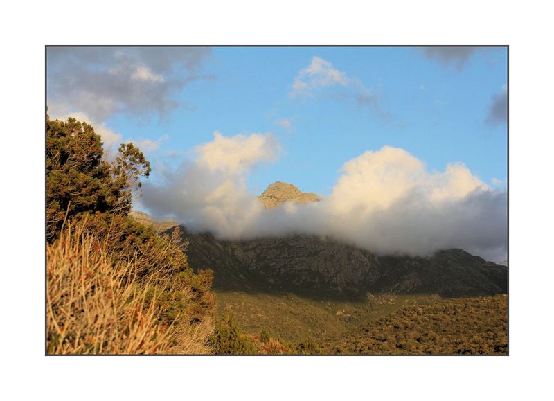 Janvier cette part de lumière et de beauté
