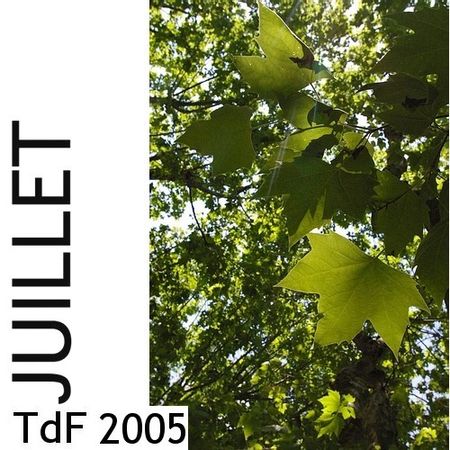 CLIQUER SUR LA PHOTO pour accéder au SOMMAIRE du numéro de juillet 2005 asset asset-image at-xid-6a00d8345167db69e20168e66d3531970c