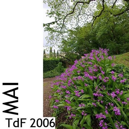 TdF - mai 2006 asset asset-image at-xid-6a00d8345167db69e20168e6d0d6e8970c