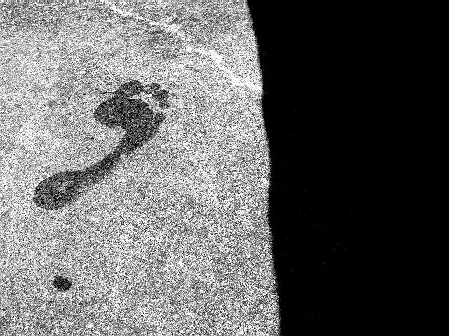 Le désert a mal de liberté