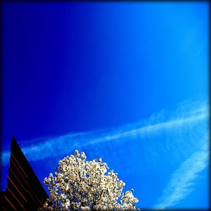 Héberger la lumière avec ton sourire Héberger la lumière