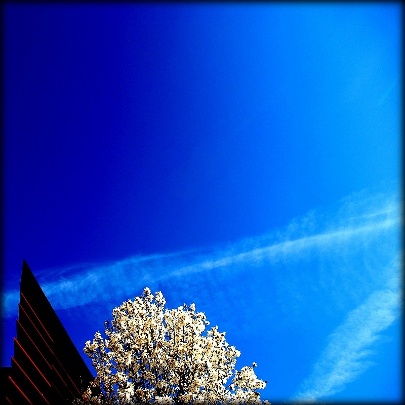 Héberger la lumière