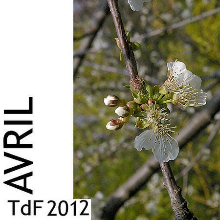 CLIQUER SUR LA PHOTO pour accéder au SOMMAIRE du numéro d'avril 2012 asset asset-image at-xid-6a00d8345167db69e20168e98c7acf970c