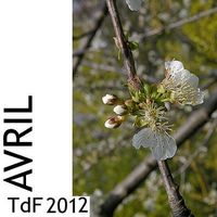 TdF n° 89 ― avril 2012 TDF AVRIL 2012