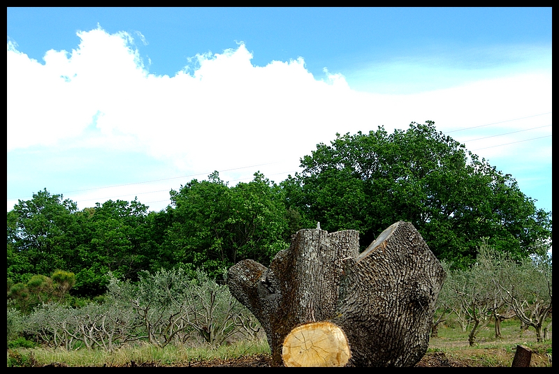 L’art et la dissociation. Jusqu’à la chirurgie.