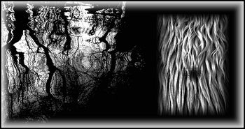 c’est la nuit aveugle qui se poursuit C’est la nuit aveugle qui se poursuit