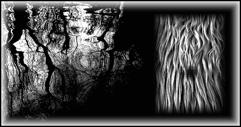 C’est la nuit aveugle qui se poursuit