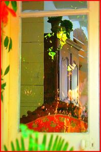 flamboyant, samba de morts, dans l’alizé d’hivernage Crépitement de maracas ... dans l’alizé d’hivernage ...