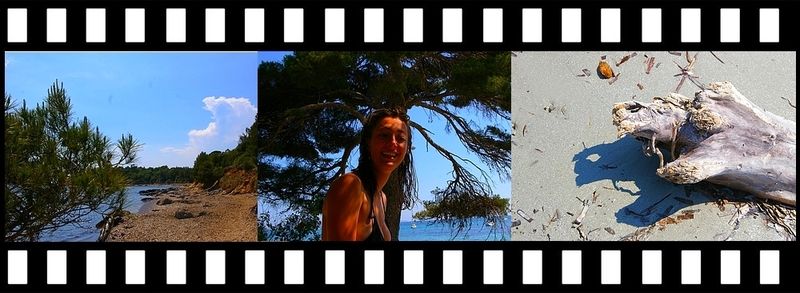 Les voici les instruments des sens qui ne rêvent pas