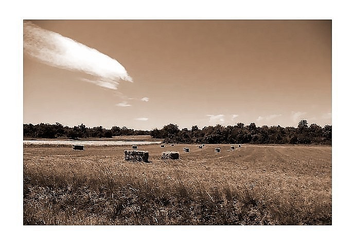 Aux champs comme ailleurs